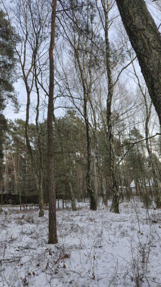 Działka budowlana Jedlicze B. Zdjęcie 4