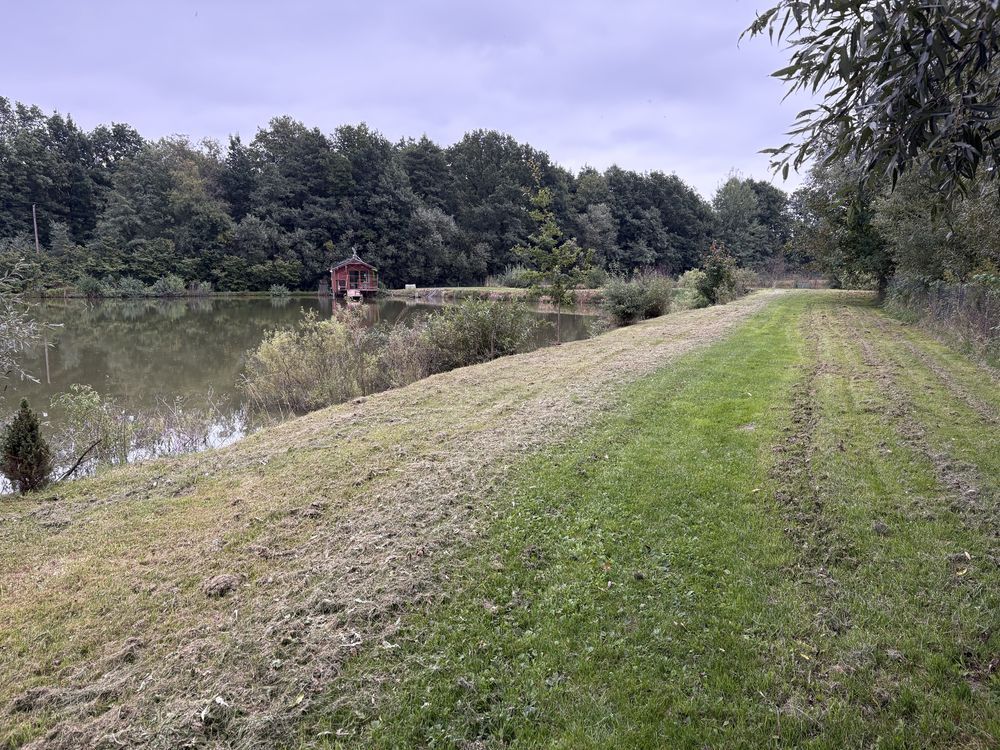 Działka Wojciechów. Zdjęcie 10