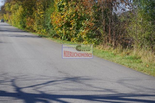 Działka budowlana Siennica. Zdjęcie 4