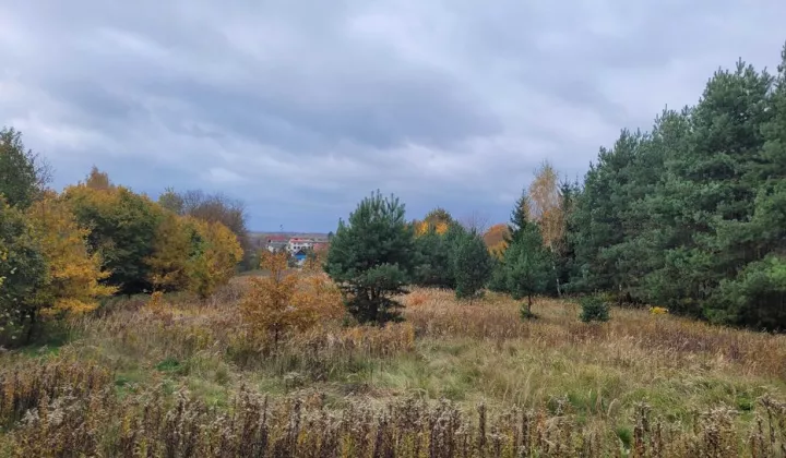 Działka budowlana Puławy Włostowice, ul. Józefa Sypniewskiego