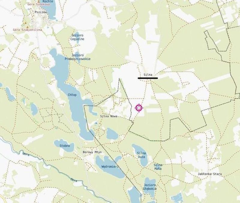 Działka budowlana Pszczew, Silna. Zdjęcie 7