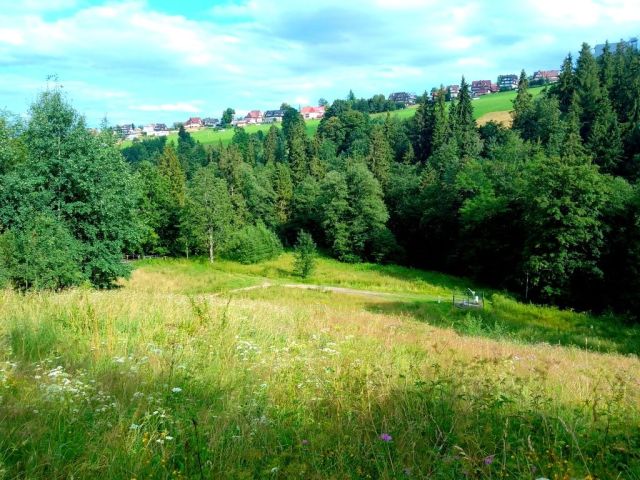 Działka budowlana Bukowina Tatrzańska Wierch Kurucowy, ul. Wierch Kurucowy. Zdjęcie 1