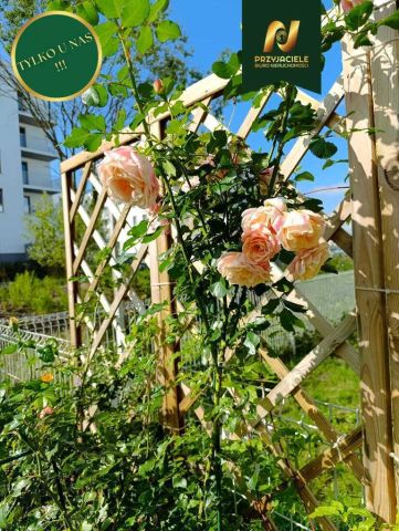Mieszkanie 2-pokojowe Gdańsk Zakoniczyn, ul. kmdr. Tadeusza Bramińskiego. Zdjęcie 10