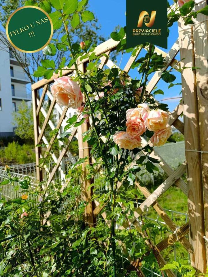 Mieszkanie 2-pokojowe Gdańsk Zakoniczyn, ul. kmdr. Tadeusza Bramińskiego. Zdjęcie 10