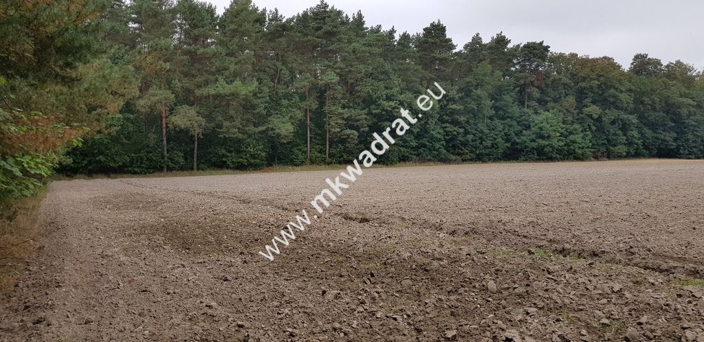 Działka Budy Wolskie. Zdjęcie 6