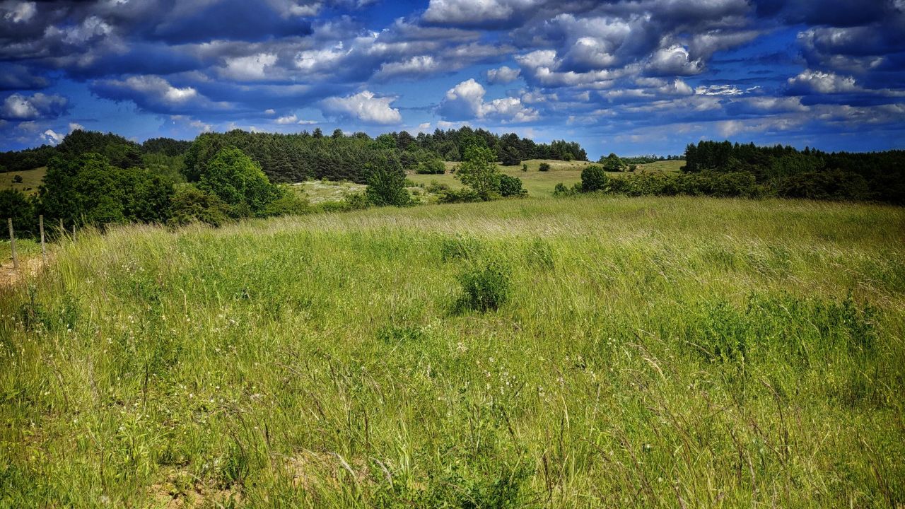 Działka rolna Łęgowo. Zdjęcie 8