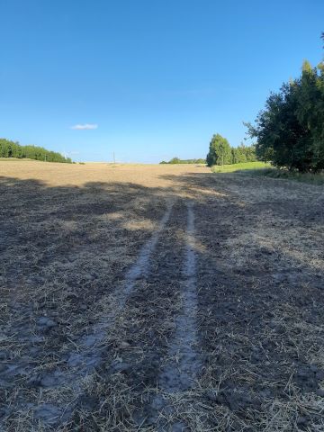 Działka rolno-budowlana Gwizd. Zdjęcie 1