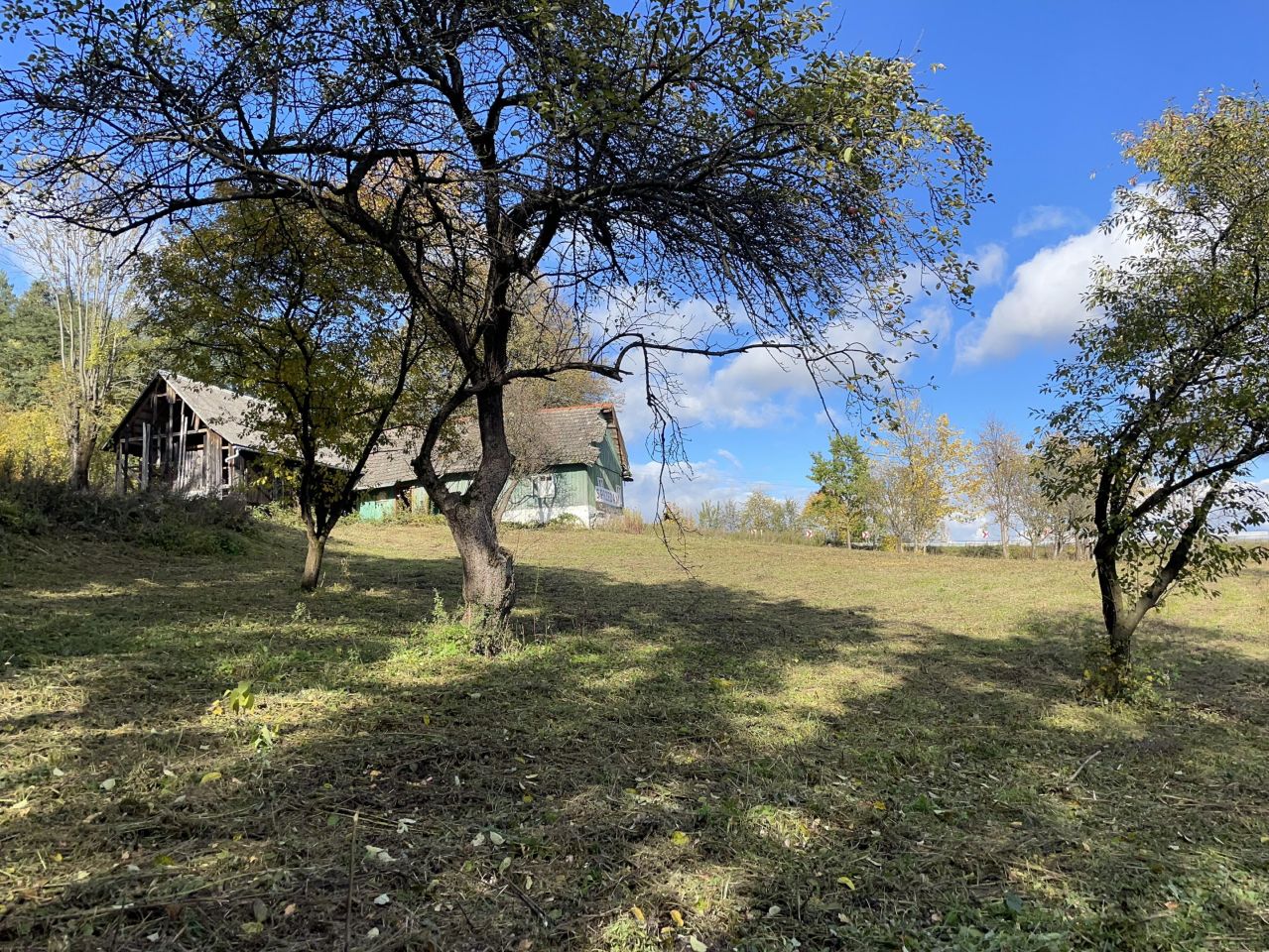 Działka siedliskowa Trzetrzewina Sołtystwo. Zdjęcie 6