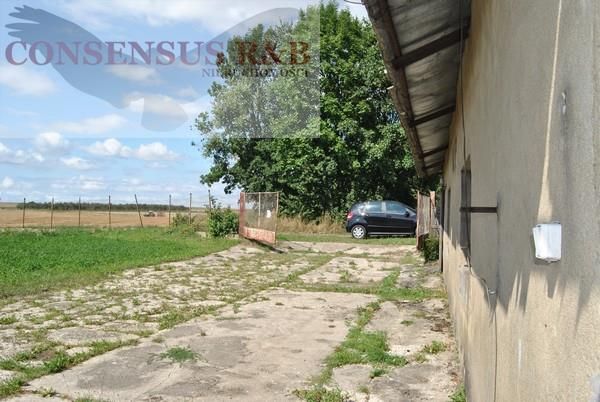 Hala/magazyn Prudnik. Zdjęcie 11