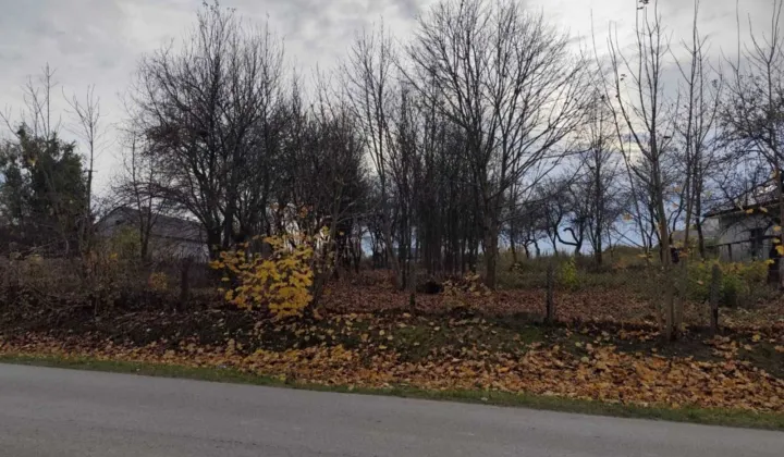 Działka rolno-budowlana Nowodwór