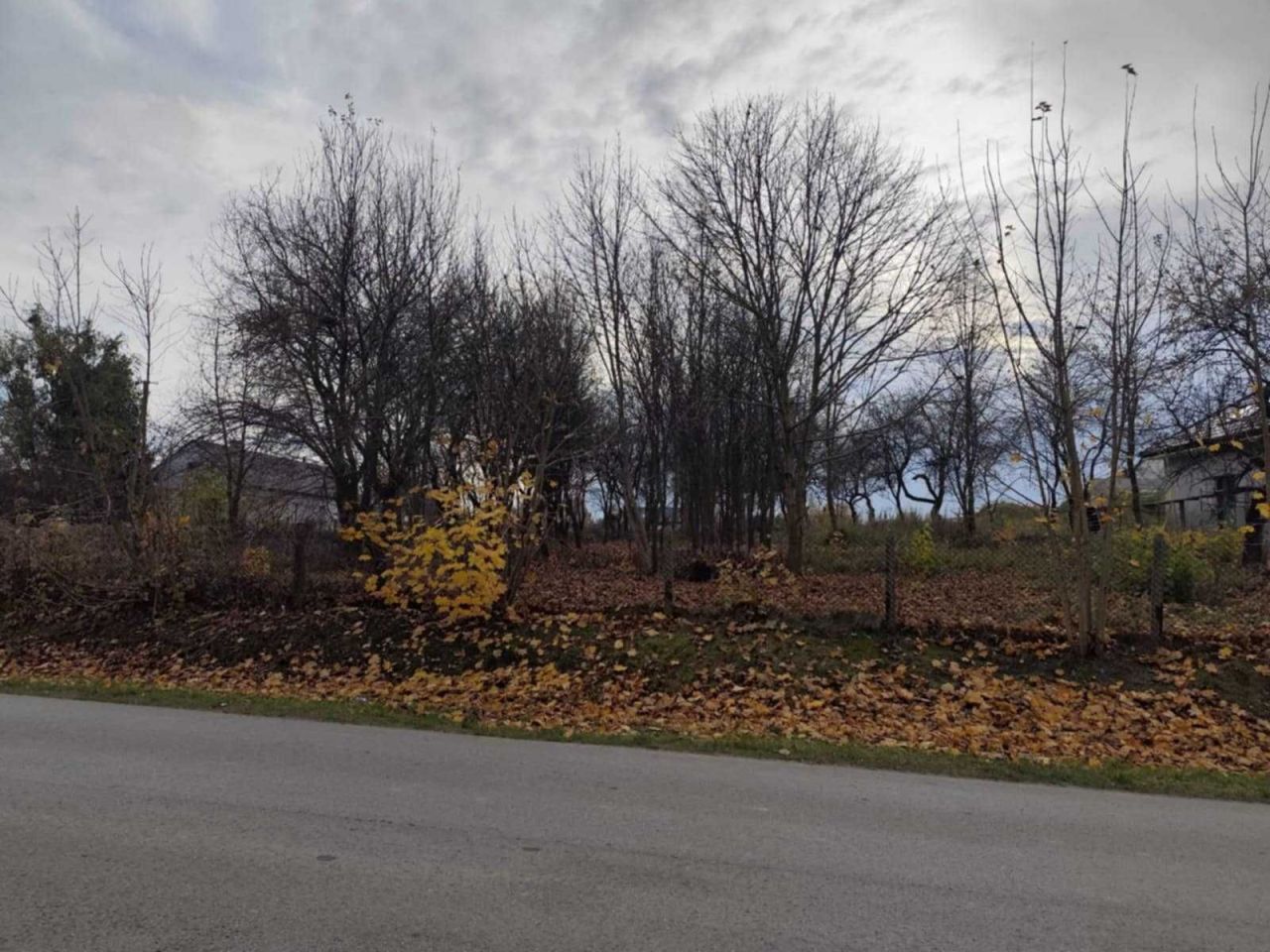 Działka rolno-budowlana Nowodwór