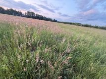 Działka budowlana Poręby. Zdjęcie 2