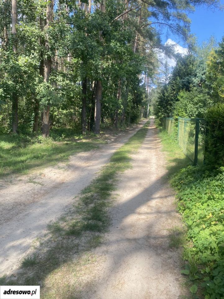Działka budowlana Chojno-Młyn. Zdjęcie 7