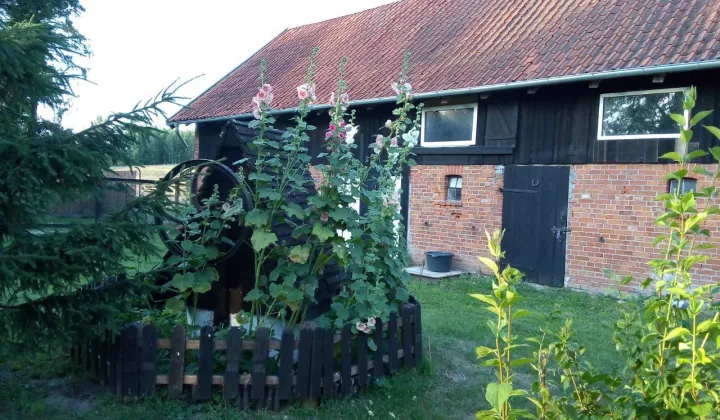 siedlisko, 5 pokoi Pajtuny