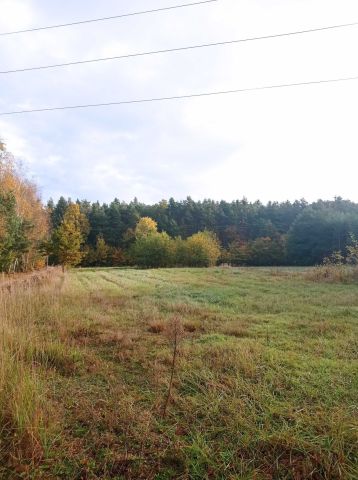 Działka budowlana Rzeczyca Długa. Zdjęcie 1