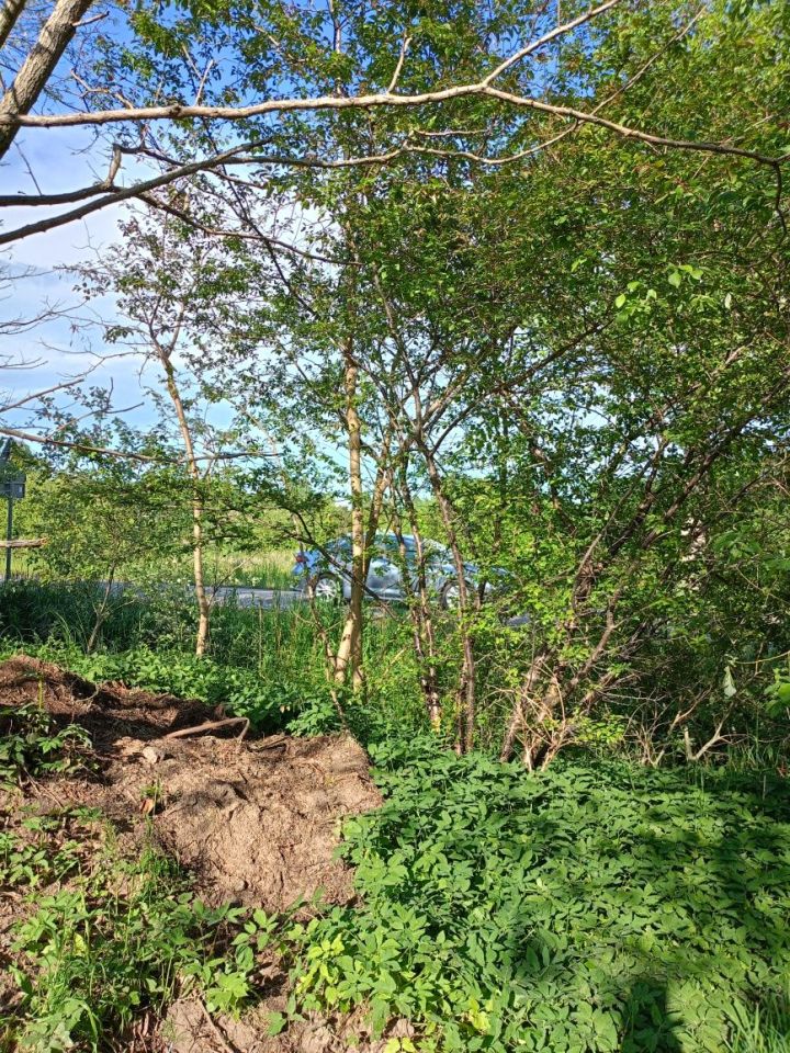 Działka rolna Karwia. Zdjęcie 2