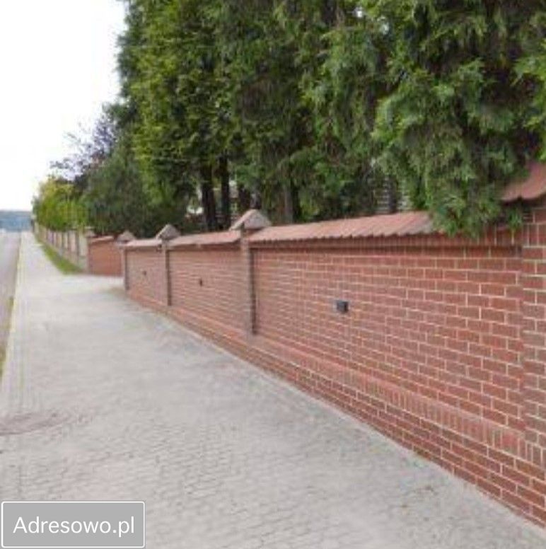 Lokal Ostrów. Zdjęcie 12