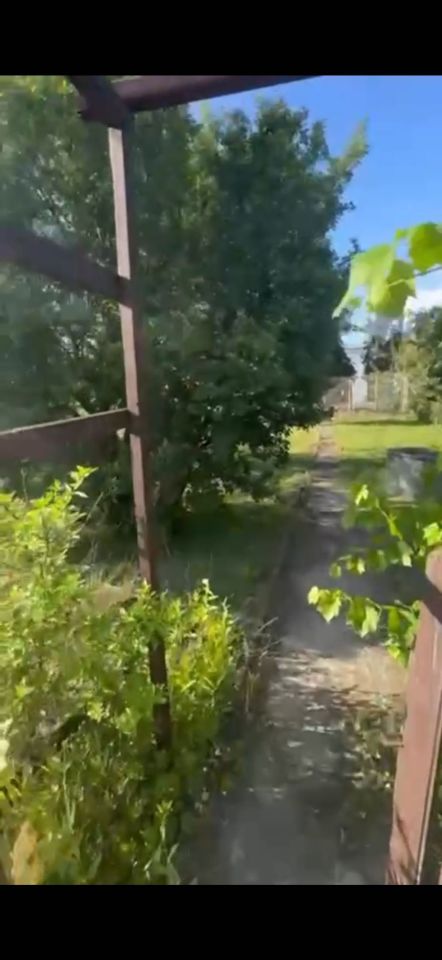 Działka rod Zielona Góra Przylep, ul. Przylep-Solidarności. Zdjęcie 5