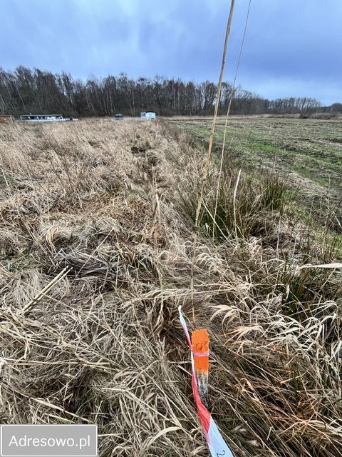 Działka rolna Dąbki, ul. Polna. Zdjęcie 5