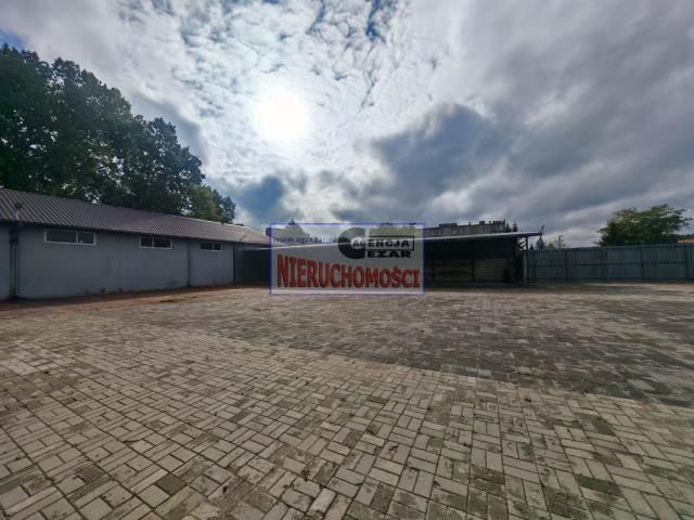 Hala/magazyn Mińsk Mazowiecki Nowe Miasto. Zdjęcie 7