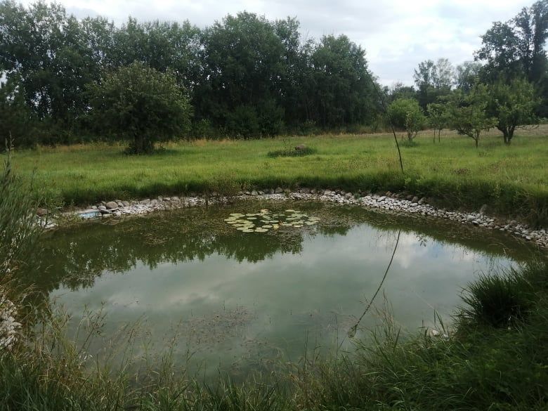 Działka budowlana Pomocnia. Zdjęcie 2