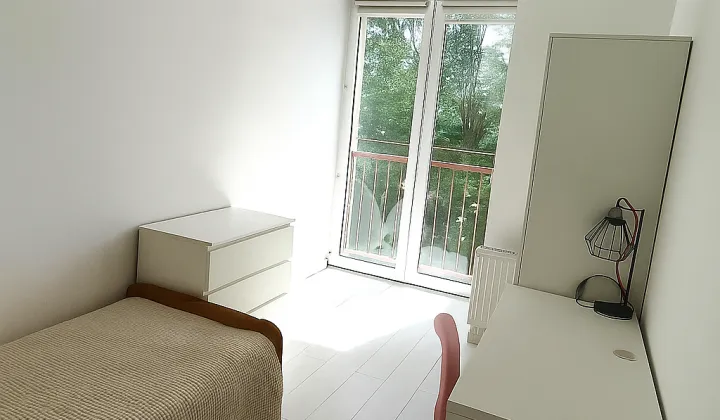 Pokój Wrocław Stare Miasto, ul. Krucza