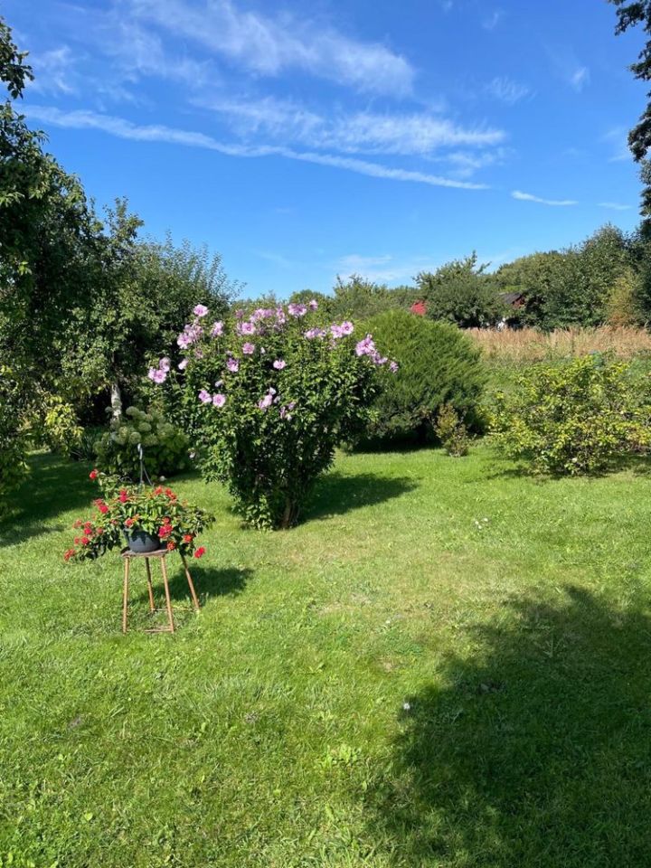 Działka rod Stargard, ul. Gdańska. Zdjęcie 8