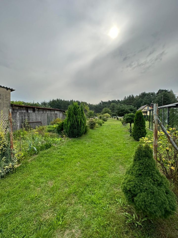 Działka budowlana Świerczyna. Zdjęcie 8