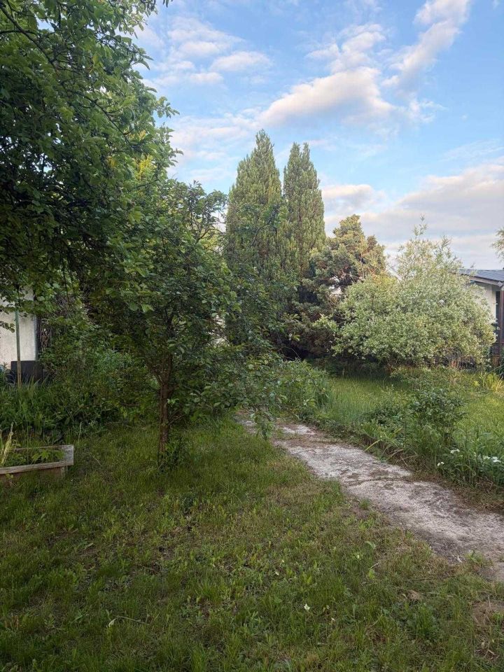 Działka rod Gorzów Wielkopolski. Zdjęcie 6