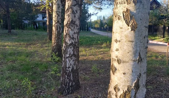 Działka budowlana Studzianki, ul. Supraślska
