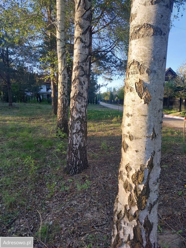 Działka budowlana Studzianki, ul. Supraślska. Zdjęcie 1
