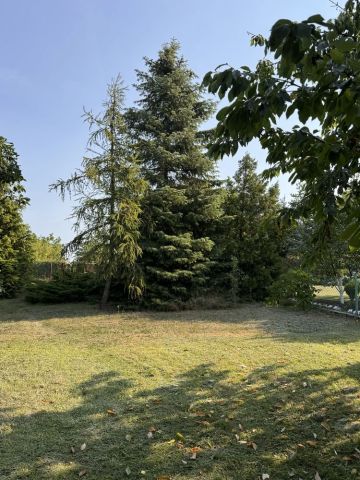 Działka rod Ruszowice, ul. Miedziana. Zdjęcie 1