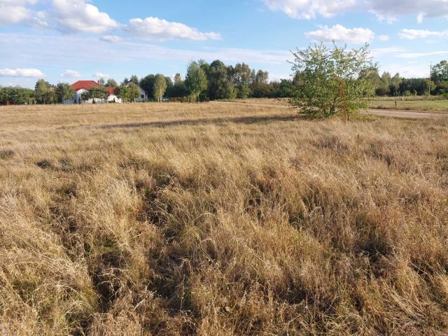 Działka budowlana Narew, ul. Gnilica. Zdjęcie 1