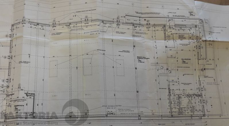 Lokal Szczecin. Zdjęcie 6