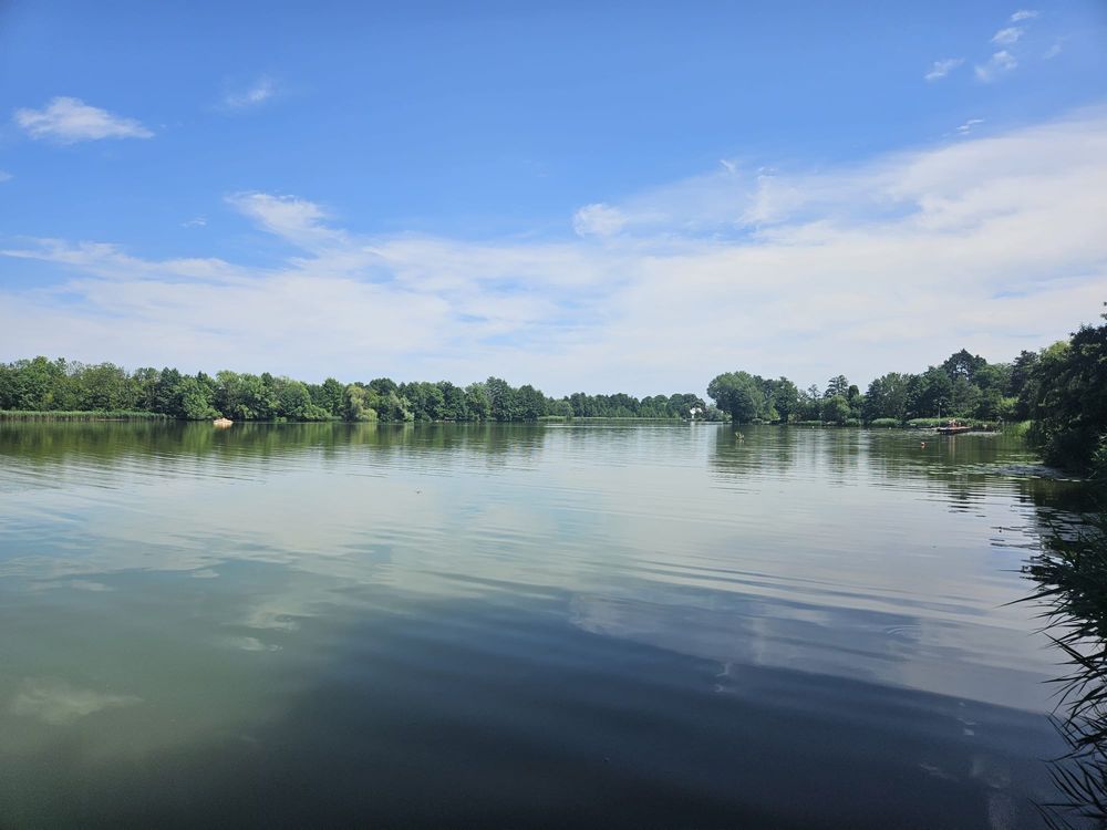 dom wolnostojący Lipiany. Zdjęcie 2