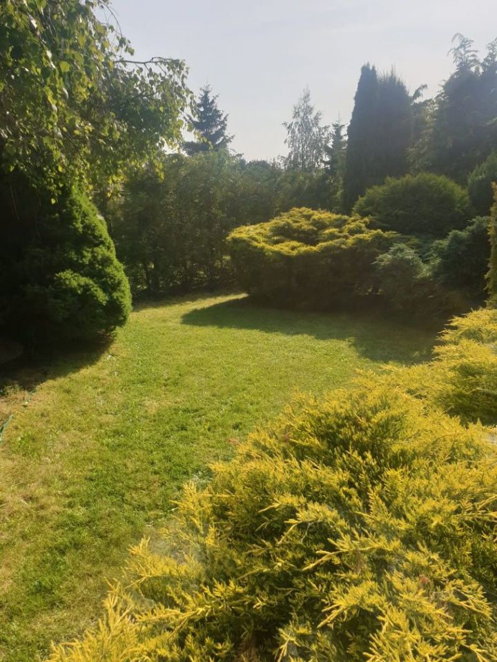 Działka rod Skierniewice, ul. Działkowa. Zdjęcie 5