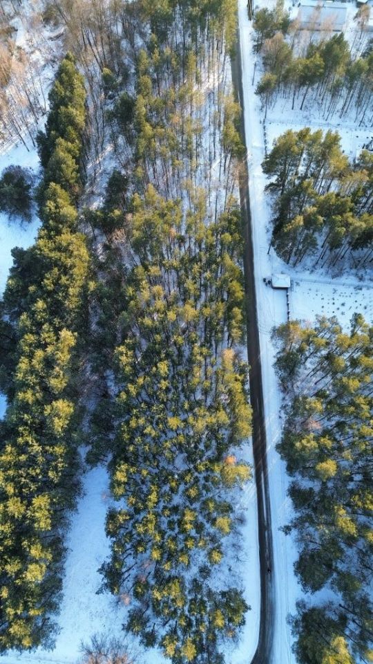 Działka budowlana Janik. Zdjęcie 3