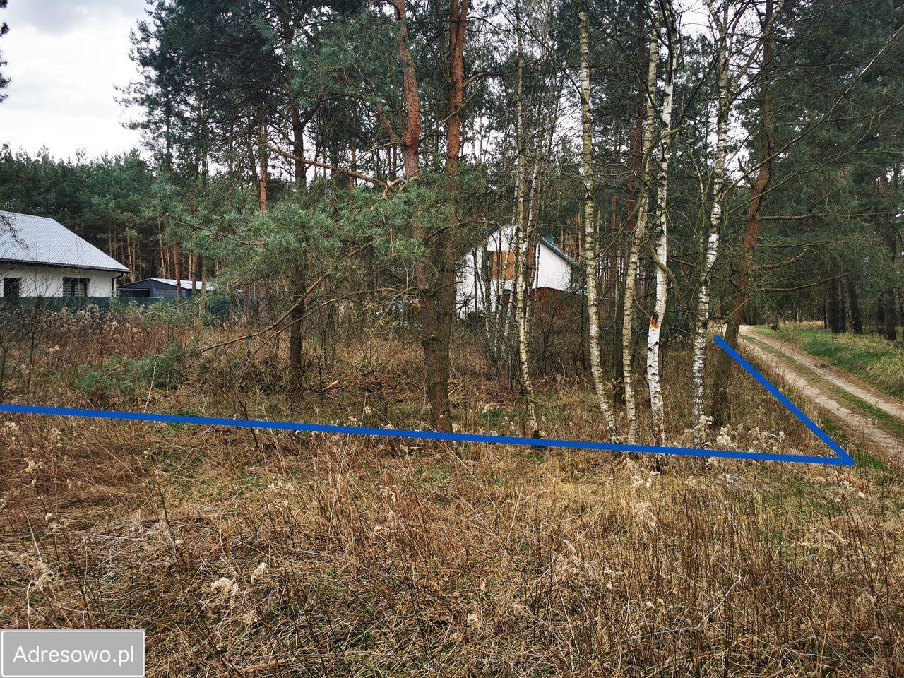 Działka budowlana Rożno-Parcele. Zdjęcie 11
