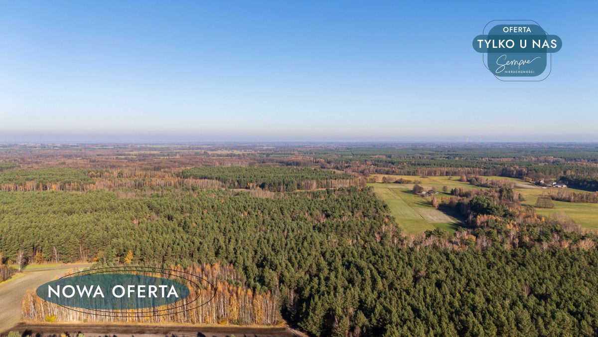 Działka rolna Józefów-Wiktorów. Zdjęcie 11