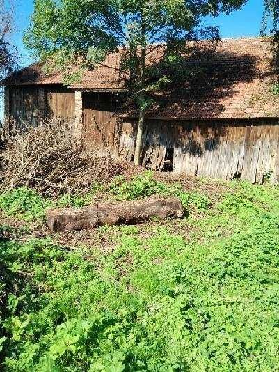 Działka siedliskowa Kocina. Zdjęcie 2