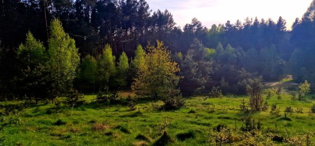 Działka rekreacyjna Krasnobród, ul. Lelewela. Zdjęcie 1