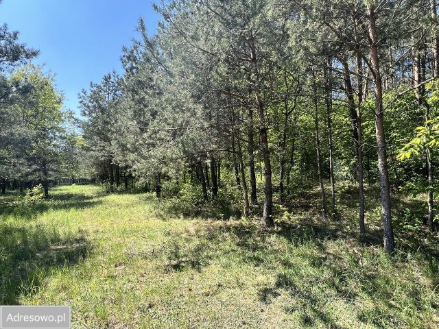 Działka budowlana Spychowo, ul. Łąkowa. Zdjęcie 8