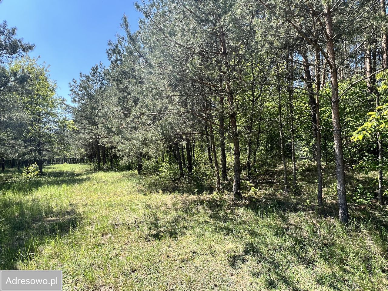 Działka budowlana Spychowo, ul. Łąkowa. Zdjęcie 8