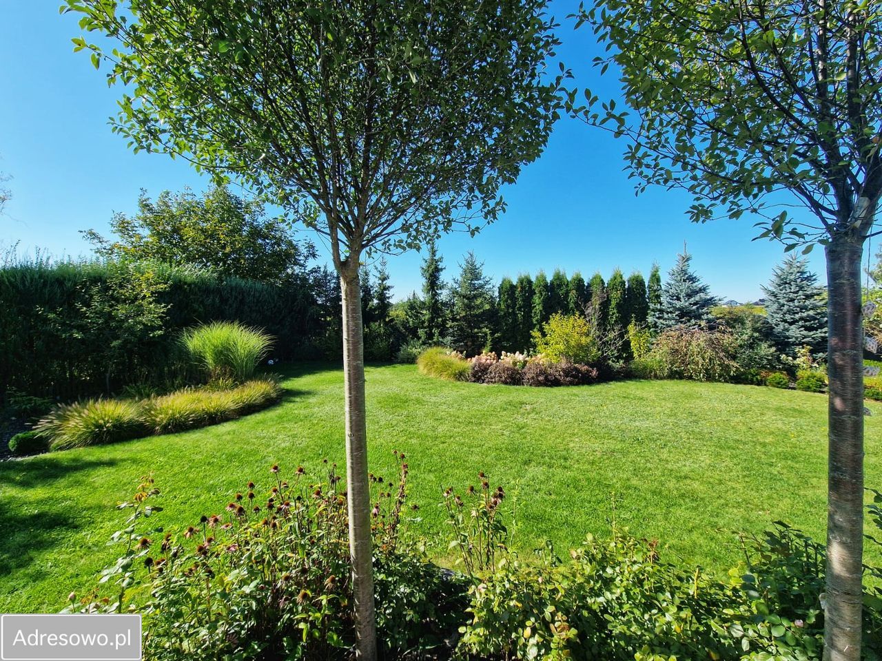 dom wolnostojący, 5 pokoi Nieciszów. Zdjęcie 6