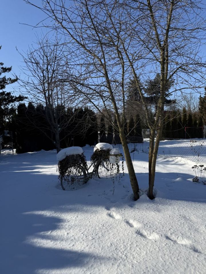 Działka rod Zakroczym. Zdjęcie 4