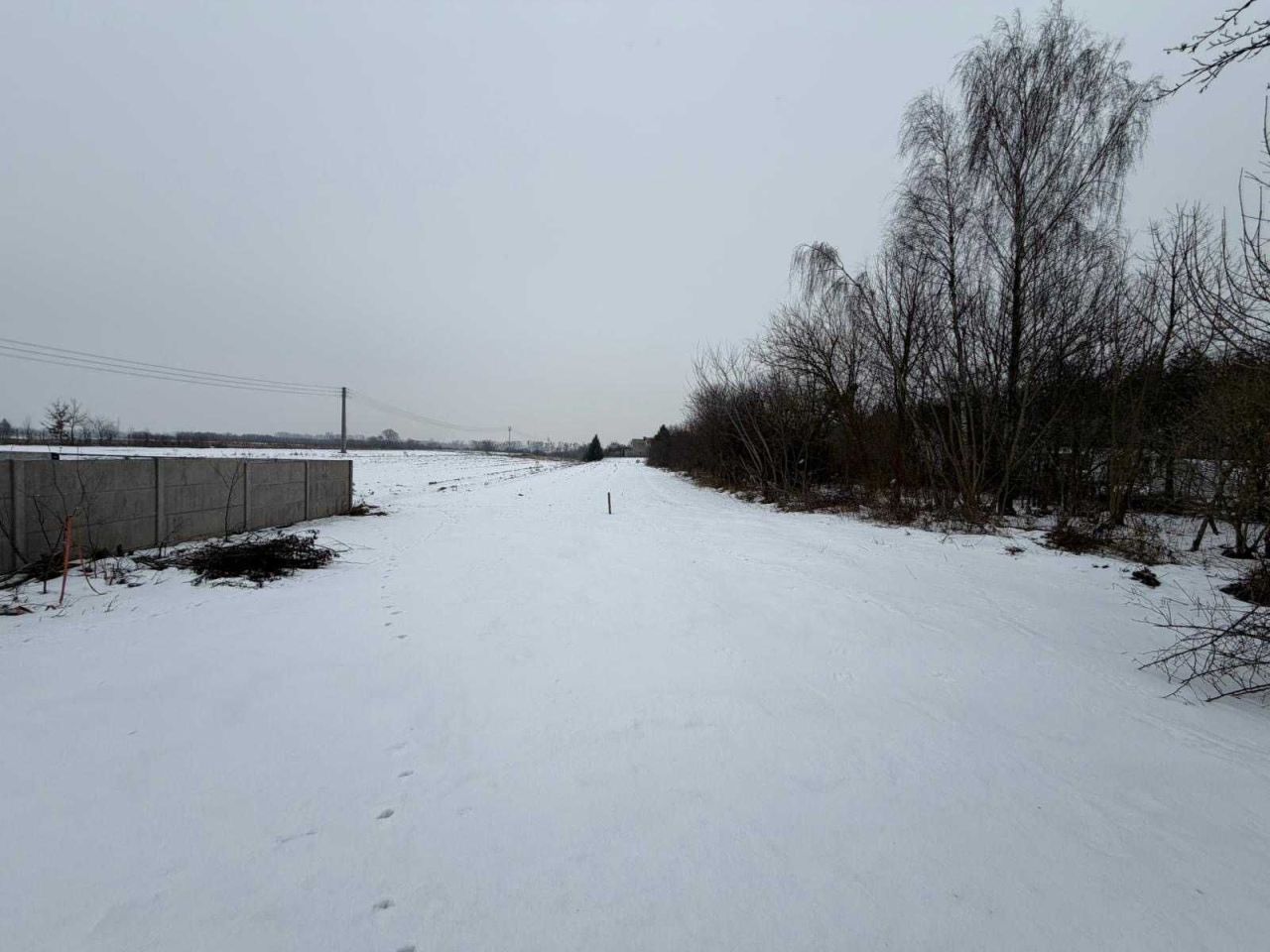 Działka inwestycyjna Wygoda. Zdjęcie 1