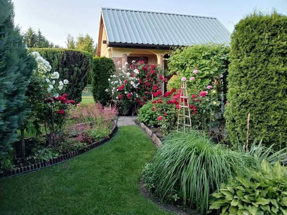 Działka rod Lubin. Zdjęcie 1