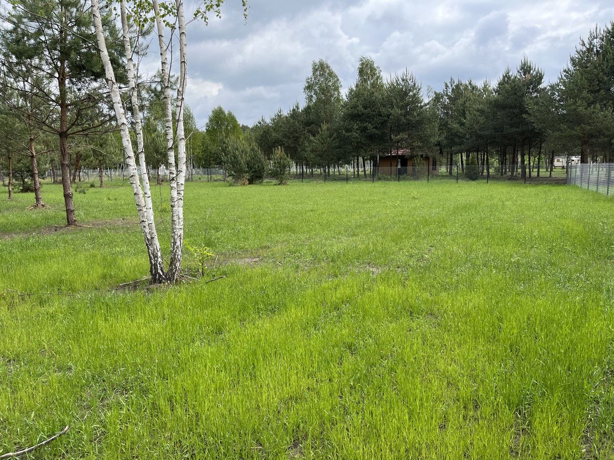 Działka rekreacyjna Grabie. Zdjęcie 2