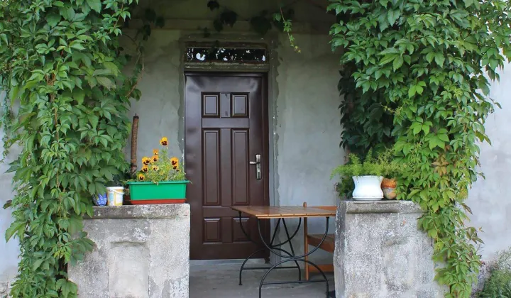 dom wolnostojący, 10 pokoi Zięby