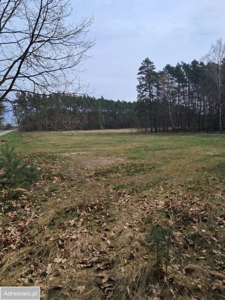 Działka budowlana Kurzelów. Zdjęcie 2